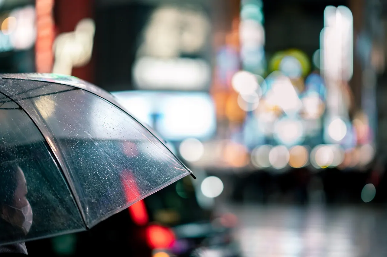 東京の小さなクラブ、はじめて行く夜のはなし — Pixabay